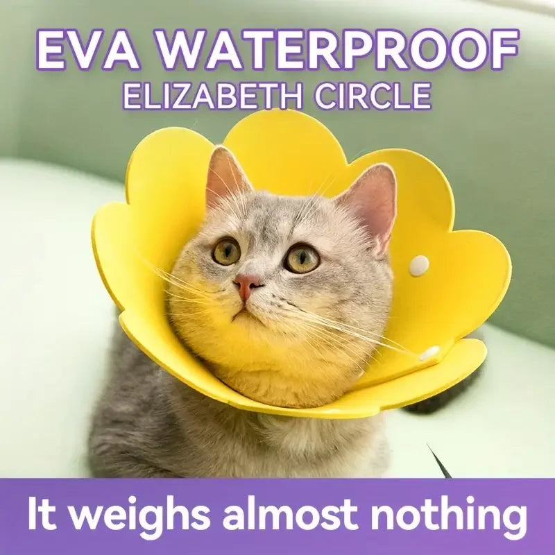 Carvallo skyddskrage för hundar & katter | Mjuk filtmaterial | Anti-lekande & klösande | Dubbel användning Carvallo