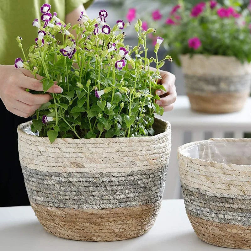 Carvallo LeafBasket växtkorg av naturfiber | Handflätad & Robust | För golv & Bord | Boho Dekor för Hemma & Kontor Carvallo