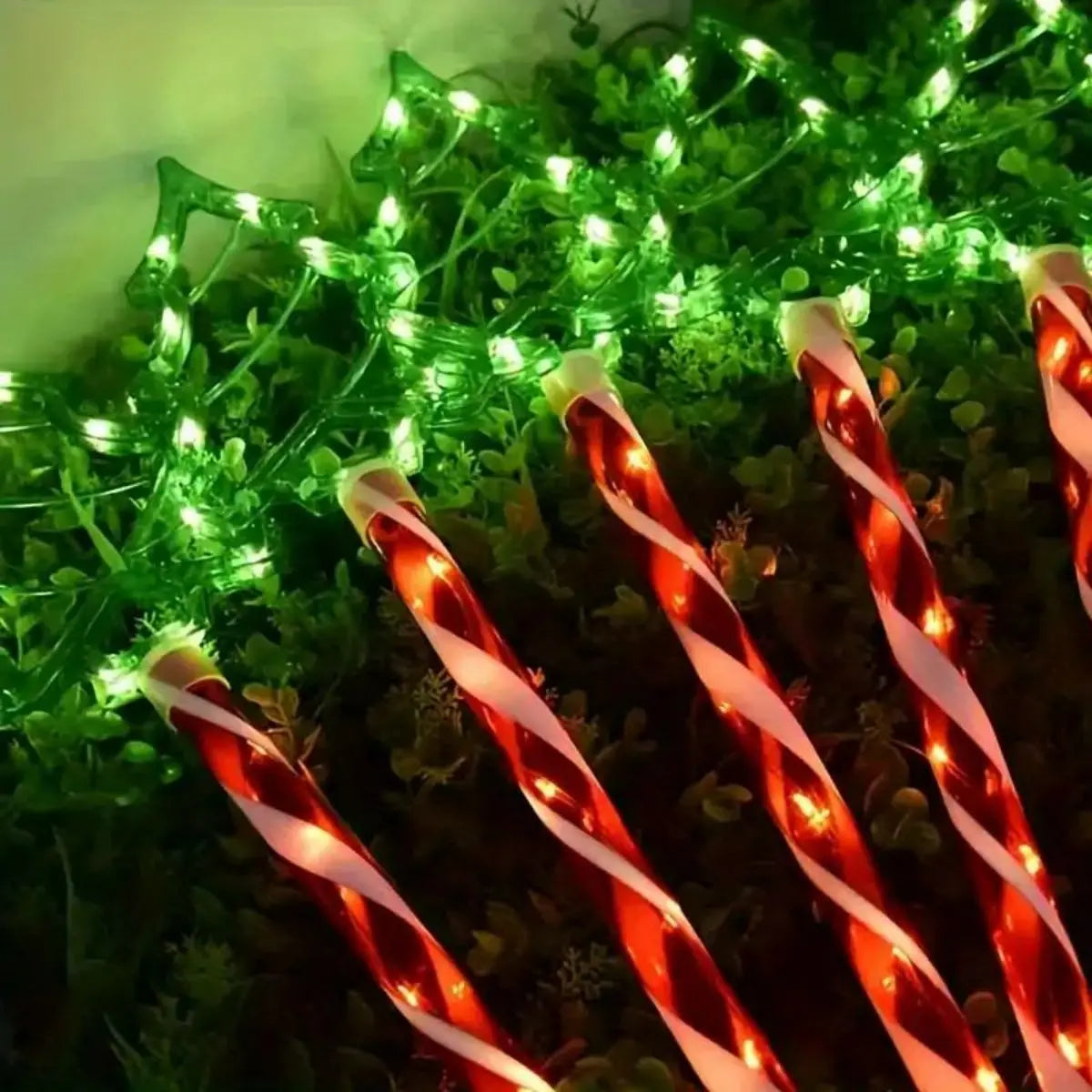 Set med 5 soldrivna jullampor - Glatt utomhusbelysning för högtiderna Carvallo