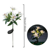 Carvallo OrchidLight Soliga orkidéer trädgårdslampa | LED-landskapsljus | Vattentät & Dekorativ | För trädgård, väg & balkong Carvallo