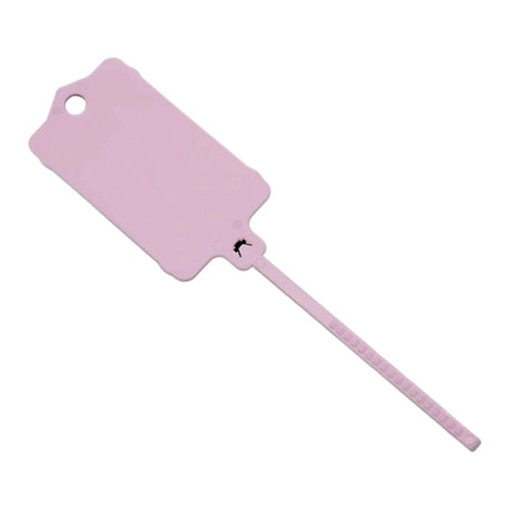 Carvallo FlexiTag 100 | 100 stycken | Återanvändbara plastetiketter med förslutningsband | För nycklar, bagage, lager och kontor Carvallo