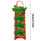Carvallo Planter bag with 4/6/8/10 openings | Hanging & Breathable | For strawberries, tomatoes & herbs | Durable canvas fabric Carvallo