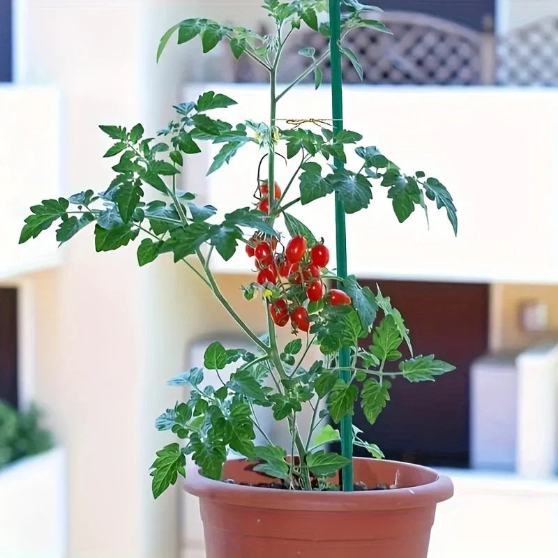 Carvallo Pro Trädgårdsplanta stänger | 50-pack | Väderbeständig & Stabil | Grön Carvallo