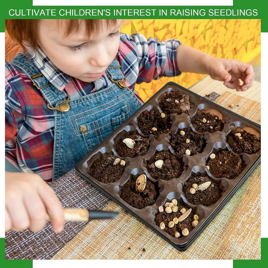 Carvallo Såddbrickor 6-pack | 27×27 cm | Utan avloppshål | Återanvändbar & Stapelbar Carvallo