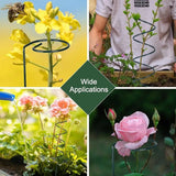 Carvallo Rankstänger Tomater Spiralstänger 10-pack | 40 cm längd | Väderbeständiga & Stabil | För klättrande växter & grönsaker Carvallo