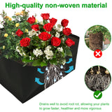 Carvallo FlextoGrow | Högbädd av filt med 4/8 fack | Bärbar & andningsbar | För grönsaker, örter & blommor Carvallo