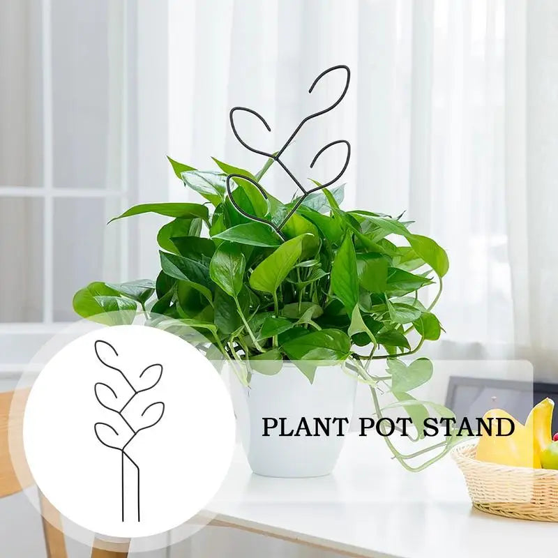 Carvallo Metall-växtstöd för inomhusbruk | Rostfritt & Stabilt | För klätterväxter, blommor & murgröna | Dekorativt bladdesign Carvallo