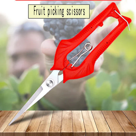 Carvallo Gräsklippare | Precisa klippning för fruktträd & bonsai | Ergonomisk & Vass | För skörd & beskärning Carvallo