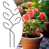 Carvallo Metall-växtstöd för inomhusbruk | Rostfritt & Stabilt | För klätterväxter, blommor & murgröna | Dekorativt bladdesign Carvallo