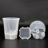 Carvallo Självvattnande Blumentopf | Transparent Design | För orkidéer & inomhusväxter | Med ventilation & vattentank Carvallo