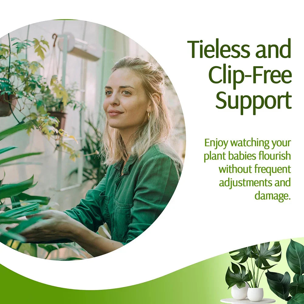 Carvallo växtstöd 3-pack | Stapelbar & Ästetisk | Naturlig look | För inomhus- & trädgårdsväxter Carvallo