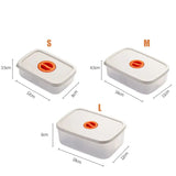 Bento Lunchbox – Livsmedelsbehållare med fack Carvallo