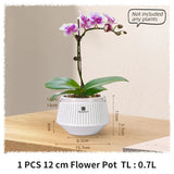 Carvallo Orchid Pot | Ventilerad planteringskruka med dräneringshål | 12 cm | Robust PP-material för inomhus och utomhus Carvallo
