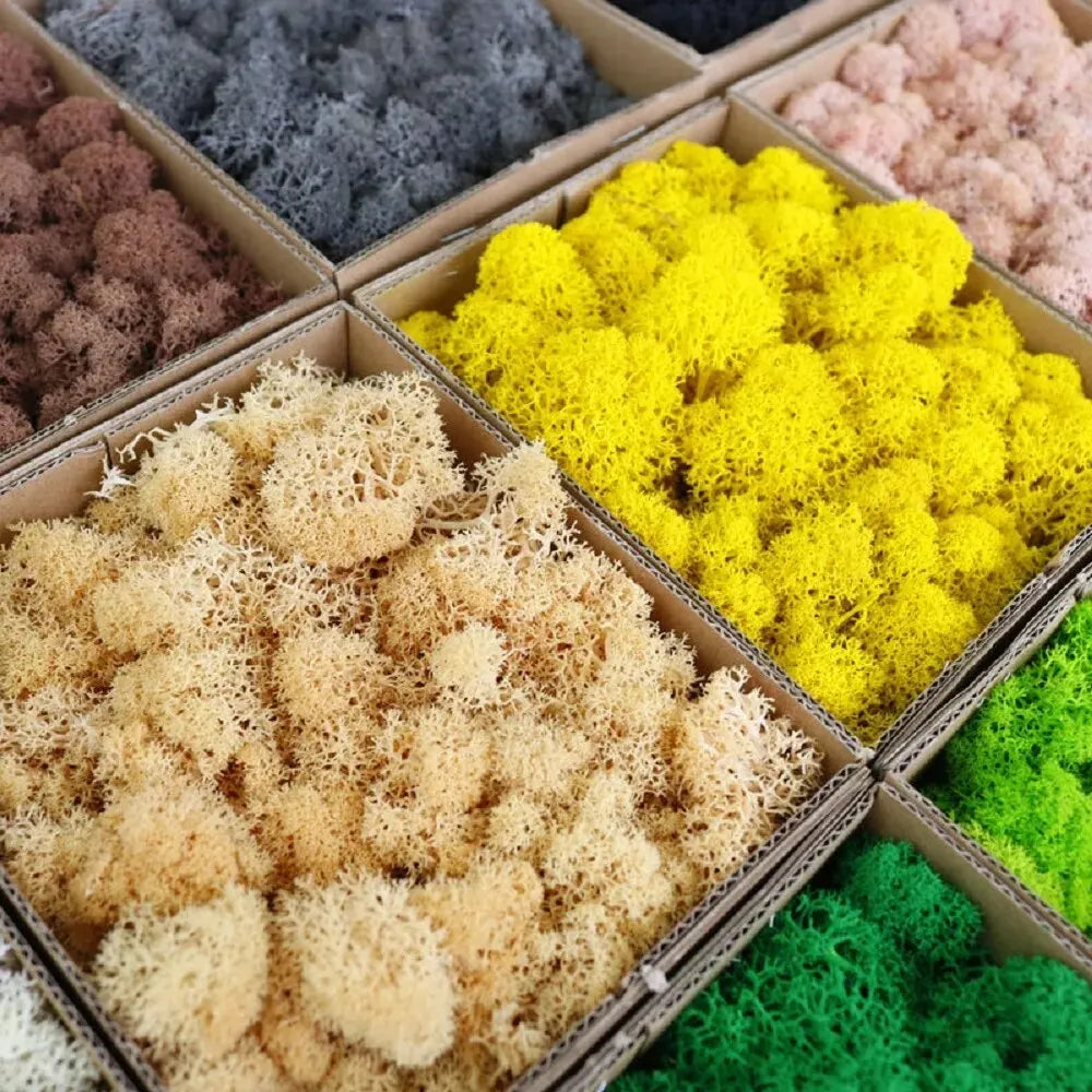 Carvallo Konstgjord mossa Dekogräs | 20 g / 40 g / 100 g | För DIY, miniatyrträdgårdar & hemtillbehör | Eviggrön & underhållsfri Carvallo