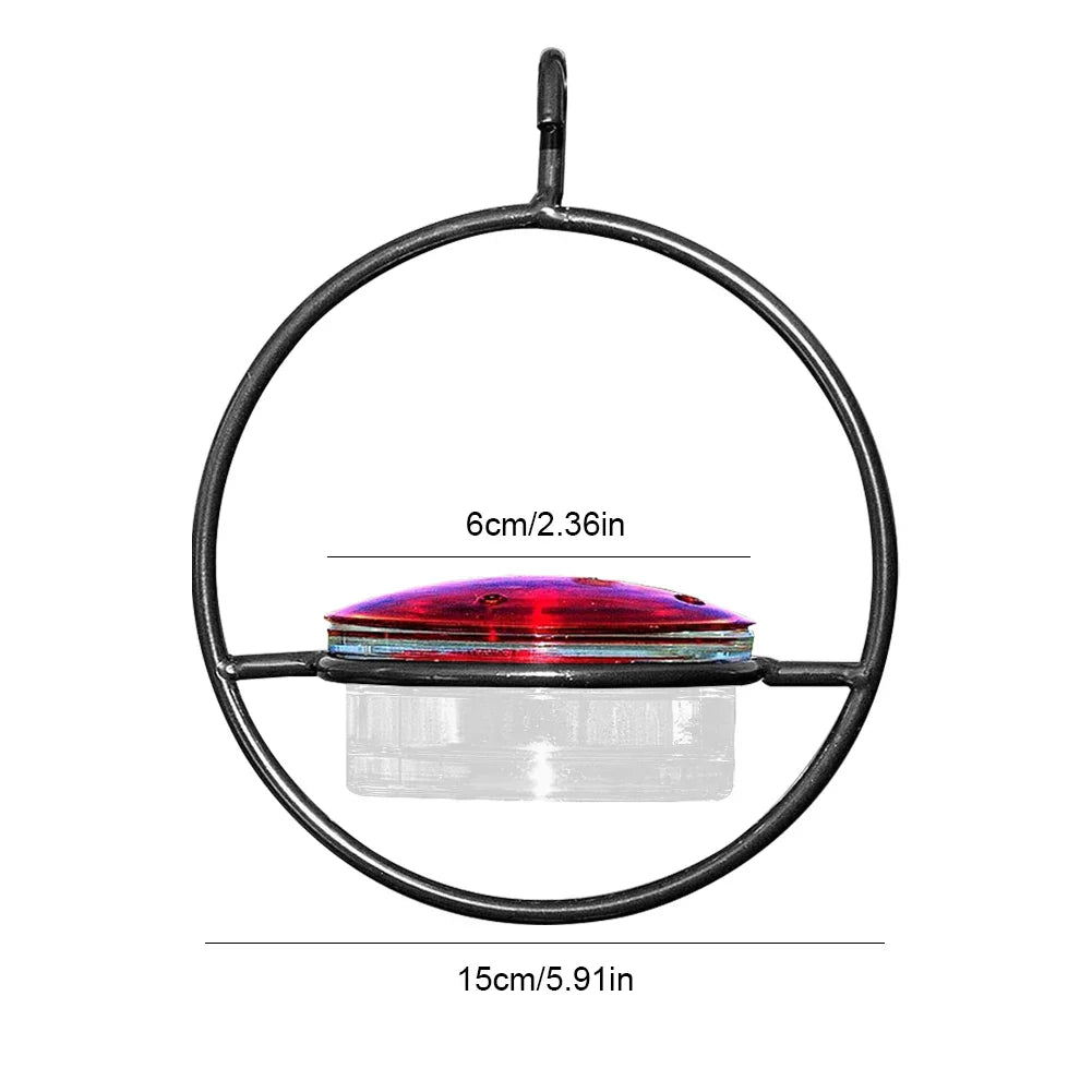 Carvallo – Locka kolibrier, utan kaos Carvallo