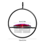 Carvallo – Locka kolibrier, utan kaos Carvallo