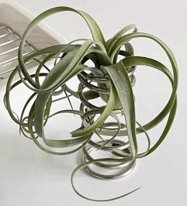 SteelFlex - Hållbar cylindrisk fjäderhållare MILA Sverige