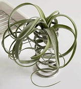 SteelFlex - Hållbar cylindrisk fjäderhållare MILA Sverige