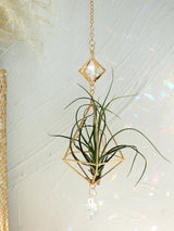 Carvallo Geometrisk Växtställ | Guld Hängande Airplant Hållare | Dekorativ Suncatcher med Kristall för Hem & Trädgård Carvallo