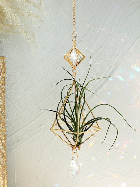 Carvallo Geometrisk Växtställ | Guld Hängande Airplant Hållare | Dekorativ Suncatcher med Kristall för Hem & Trädgård Carvallo