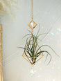 Carvallo Geometrisk Växtställ | Guld Hängande Airplant Hållare | Dekorativ Suncatcher med Kristall för Hem & Trädgård Carvallo
