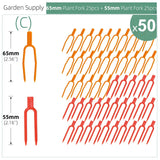 Carvallo | 50-piece set plant stem and vine fixers | 5.5 cm & 6.5 cm | Stable attachment for strawberries, watermelons & climbing plants Carvallo
