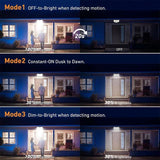 Carvallo 234 | Solar utomhusstrålkastare med rörelsesensor | 3 ljuslägen & fjärrkontroll | IP65 vattentät Carvallo