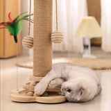 Carvallo | Sisal-Kratzbräda med svängplatta & leksaksbollar | Massivträ katt-leksak | Kratzbräda & klättrahorn i ett | 40 × 24 cm Carvallo
