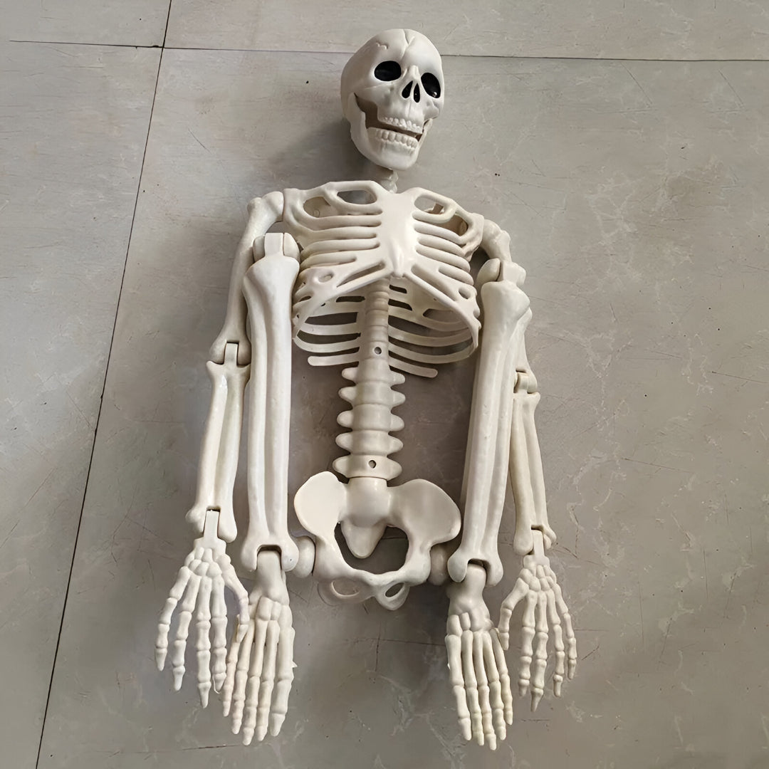 Utomhusrekvisita med Phantom Bones – Skelettdekoration i naturlig storlek för hemsökt trädgård MILA Sverige