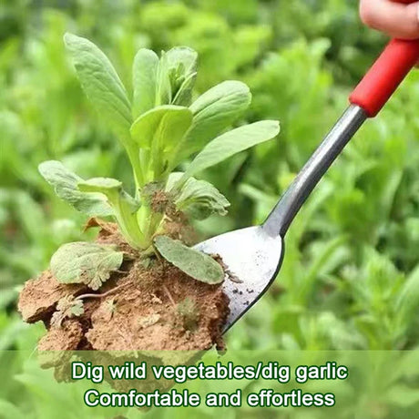 Carvallo HERBINOX | 3-tandig rostfritt stål spade | För vitlök, ogräs och vilda örter Carvallo