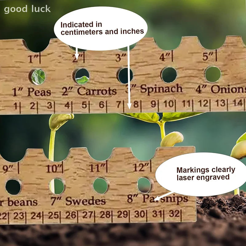 Carvallo NaturLinjal Växtlinjal av trä | 33×4,9 cm | Såddavstånd-hjälp med cm/tum-skala | För precis trädgårdsarbete & jämn sådd Carvallo