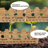 Carvallo NaturLinjal Växtlinjal av trä | 33×4,9 cm | Såddavstånd-hjälp med cm/tum-skala | För precis trädgårdsarbete & jämn sådd Carvallo