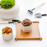 Carvallo Mini Trädgårdsverktygset | Idealiskt för Suculenter & Bonsai | Ergonomisk & Robust | Trä & Stål Carvallo