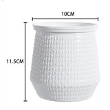 Carvallo Hydroponisk Blomkruka | Självbevattnande & Modern | För Inomhusväxter | 3-pack Carvallo