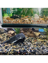 Carvallo ColorMix Dekorativa Natur-Kiselstenar i blandade färger | Smyckestenar för akvarium, trädgård och växtbehållare | Flodkisel för markbeläggning Carvallo