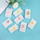 Carvallo Lufterfrischer | Fast rumdoft i snäckform | 5 dofter att välja mellan | För bad, sovrum, bil och garderob Carvallo