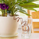 Carvallo växtbevattningssystem | 8-pack | Självbevattnande keramiska spikar | Automatiskt & För inomhusbruk Carvallo