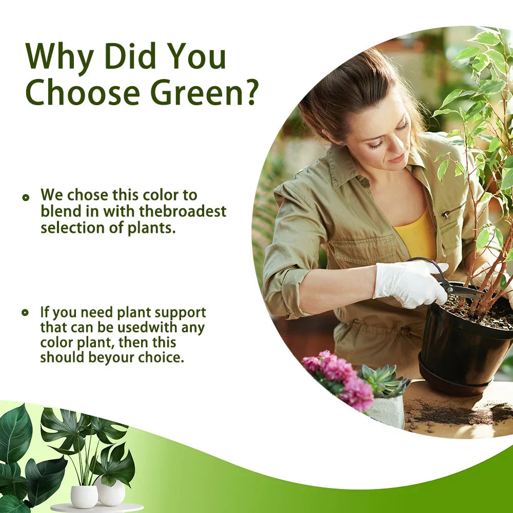 Carvallo växtstöd 3-pack | Stapelbar & Ästetisk | Naturlig look | För inomhus- & trädgårdsväxter Carvallo