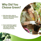 Carvallo växtstöd 3-pack | Stapelbar & Ästetisk | Naturlig look | För inomhus- & trädgårdsväxter Carvallo