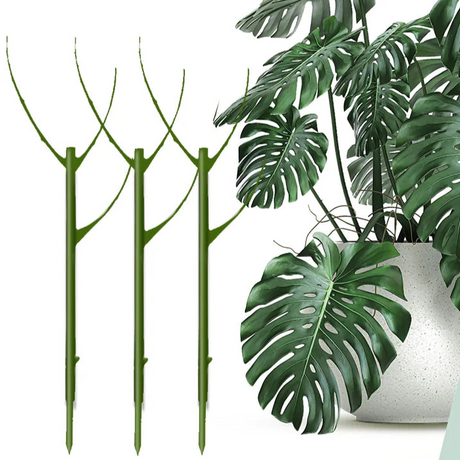 Carvallo växtstöd 3-pack | Stapelbar & Ästetisk | Naturlig look | För inomhus- & trädgårdsväxter Carvallo