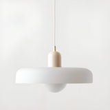 AuroraRetro Light - Nordisk Retro-hänglampa för taket Carvallo