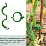 Carvallo växtklipp 100 stycken | Återanvändbar & Snabbkoppling | För tomater, gurkor & klätterväxter | Ø 2,5 cm Carvallo