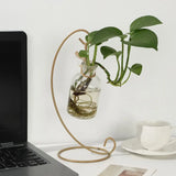 Carvallo-Halter LunaLoop Hängeständer | För glaskulor, ljuslyktor & växter | Metall med lackbeläggning Carvallo