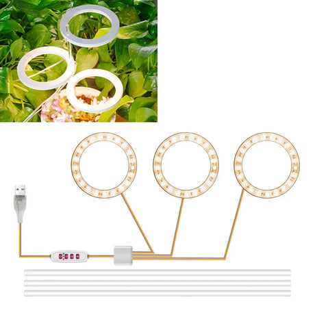 Carvallo Luminara Ring | LED-växtbelysning med timerfunktion | 1–4 huvuden | USB-driven & 5-stegs dimbar Carvallo