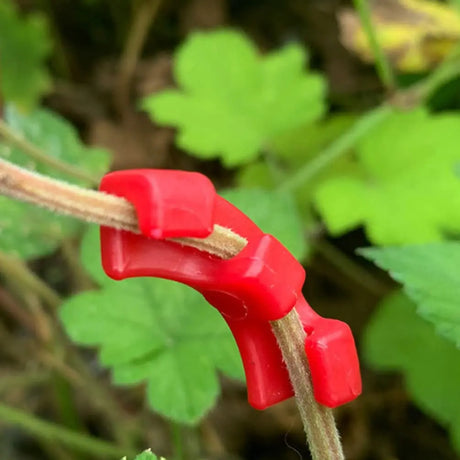 Carvallo växtböjningsklipp 90° | Tillväxttränare för grenar & skott | 10–50 stycken | Låg stress-träning för högre avkastning Carvallo