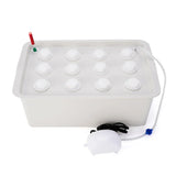 Carvallo Planter Set GrowPure 12 | 12-Chamber System with Pump | 220 V | For Herbs, Vegetables & Seedlings | 41×27,5×14 cm Carvallo