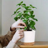 Carvallo Planter med Avtagbart Botten | Andningsbar Blomkruka | Självvattnande & Korrosionsbeständig | 4-pack Carvallo