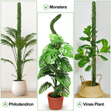 Carvallo MossPole Böjliga mossa stöd för växter | Handgjord klättringshjälp för Monstera & inomhusväxter | 45 × 3 cm Carvallo