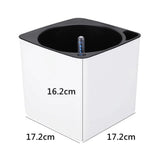 Carvallo Självbevattnande Blomlåda | Rektangulär Planteringskärl med Vattennivåindikator | För Balkong, Trädgård & Kontor Carvallo