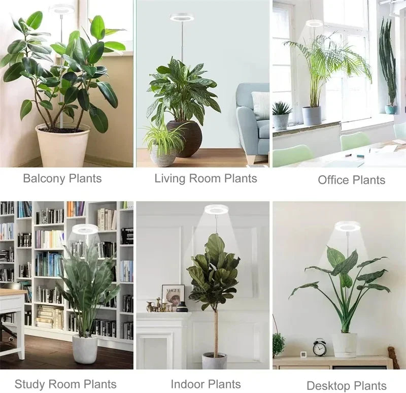 Höjdjusterbar växtlampa med ljusstyrkekontroll Carvallo